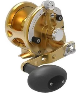 Avet JX G2 6.0 MC Single Speed Reel Gold