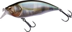Megabass Big M 2.0 Crankbait