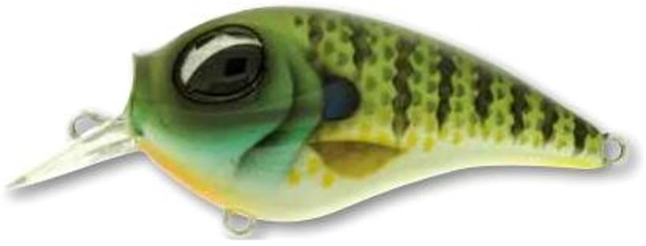 Molix SB Crank 55 - Image 4