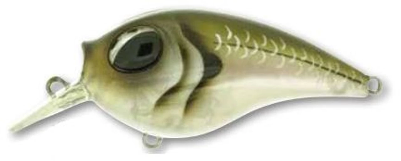 Molix SB Crank 55 - Image 3